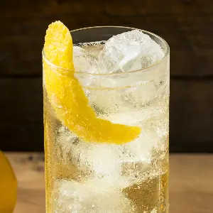 The Whiskey Highball: Lift, Chill, and Everyday Elegance