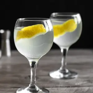 The Gin Blossom: The Rosy Cheeked Gin Revival
