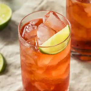 The Cape Codder: Coastal Cranberry Simplicity