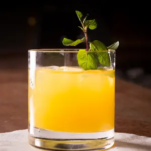 The Screwdriver: Bright Utility, Timeless Appeal
