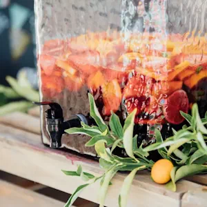 Daniel Webster's Punch: A Potent Elixir