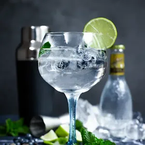 The Gin and Tonic: A Refreshing Tale of Malaria Prevention