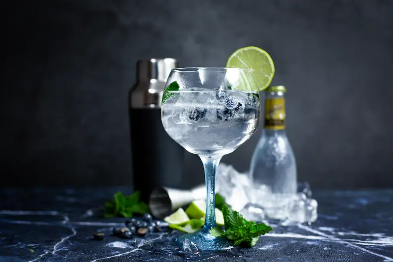 The Gin and Tonic: A Refreshing Tale of Malaria Prevention