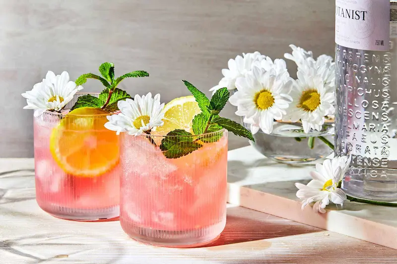 The Gin Daisy: A Blossoming Classic