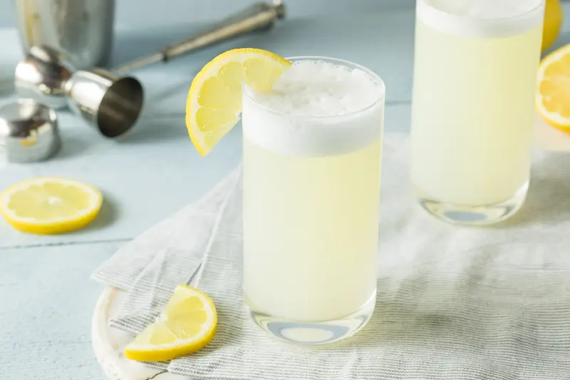 The Gin Fizz: A Refreshing and Classic Cocktail