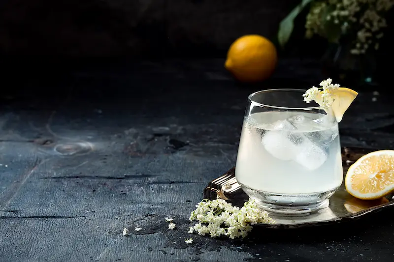 The Gin Sour: A Classic Cocktail with a Tangy Twist