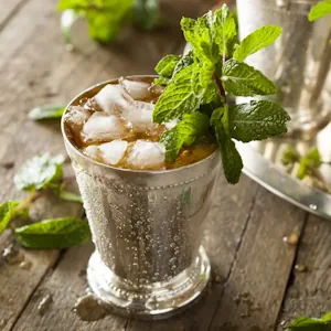 The Mint Julep: A Refreshing Bourbon Classic