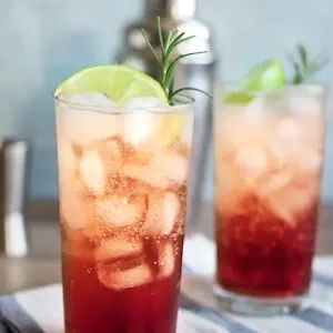 The Sloe Gin Fizz: A Berry-Infused Classic