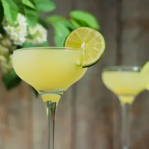 Southside: A Refreshing Gin and Mint Delight